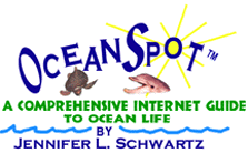 oceanspot_thu_TM_2.gif (10933 bytes)