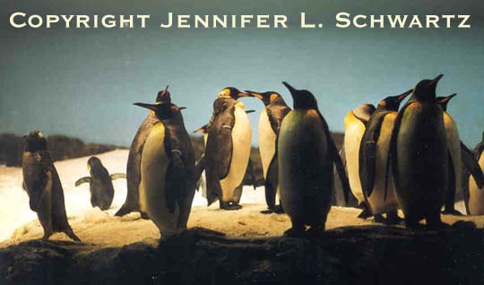 penguin_2.jpg (31129 bytes)