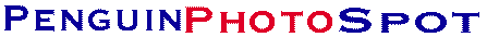 penguinphotospot.gif (2239 bytes)