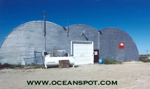 polar bear jail8.jpg (64416 bytes)