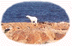 polar bear main_thu.gif (3587 bytes)