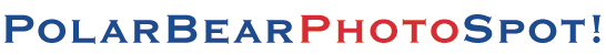 polarbearphotospot.gif (2953 bytes)