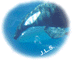 whale_.gif (4047 bytes)