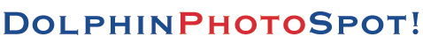 dolphinphotospot.gif (2652 bytes)