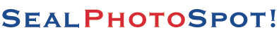 sealphotospot.gif (2306 bytes)