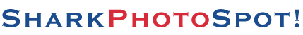 sharkphotospot.gif (2481 bytes)
