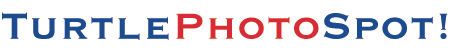 turtlephotospot.gif (2444 bytes)
